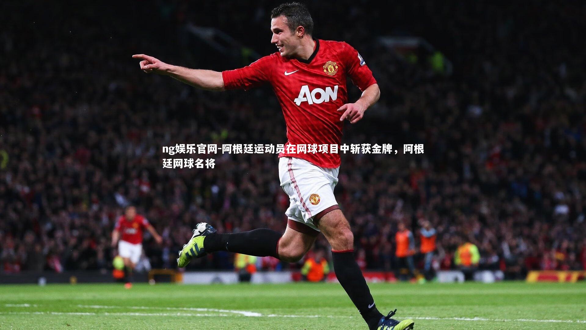 阿根廷运动员在网球项目中斩获金牌，阿根廷网球名将