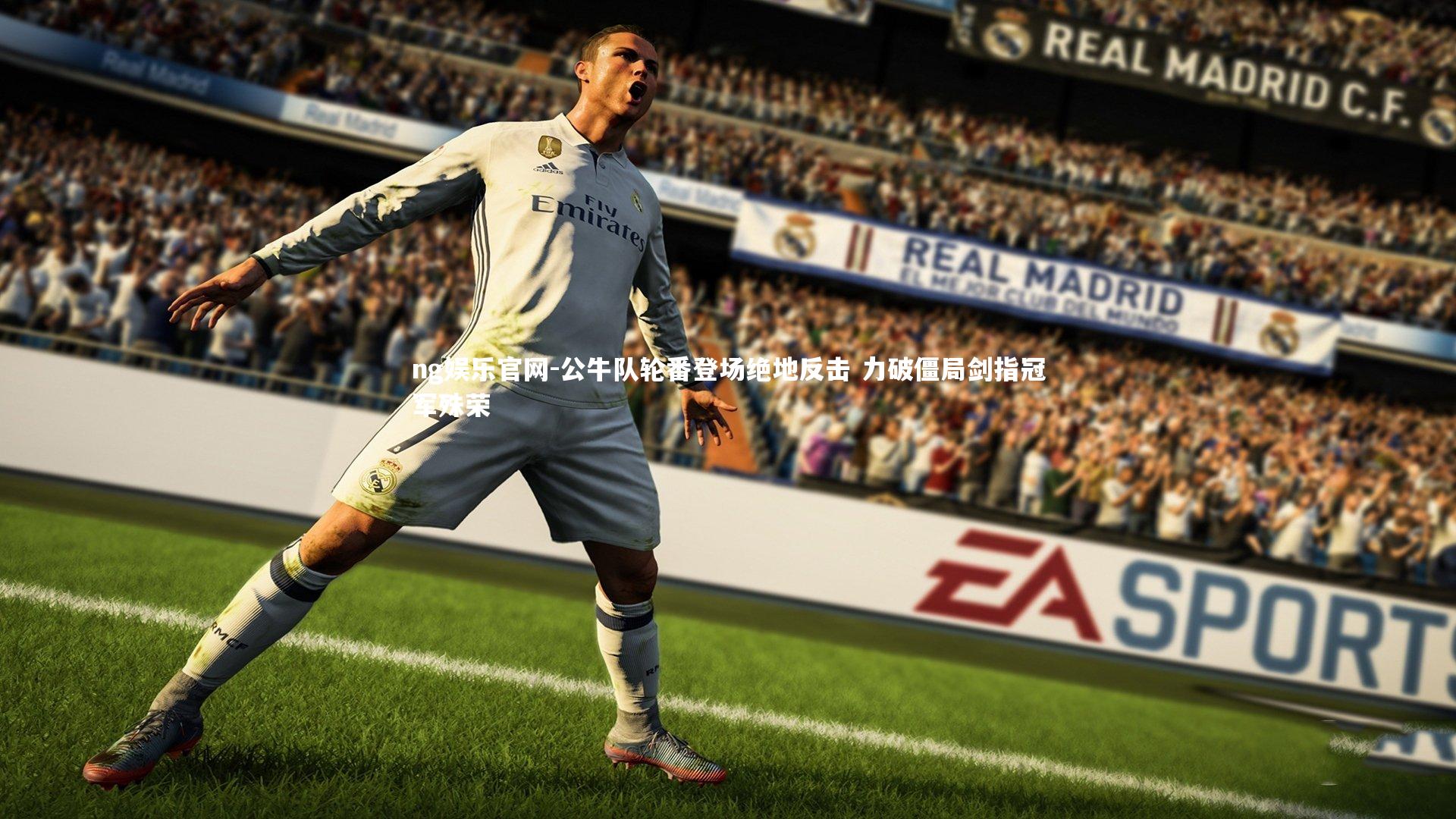 公牛队轮番登场绝地反击 力破僵局剑指冠军殊荣